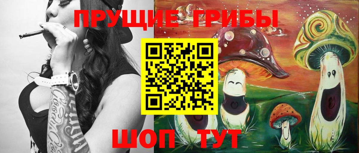 Шебекино  Псилоцибиновые грибы Psilocybine cubensis  Вход с VPN 