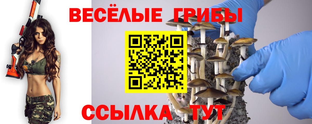 Галлюциногенные грибы Magic Shrooms Шебекино